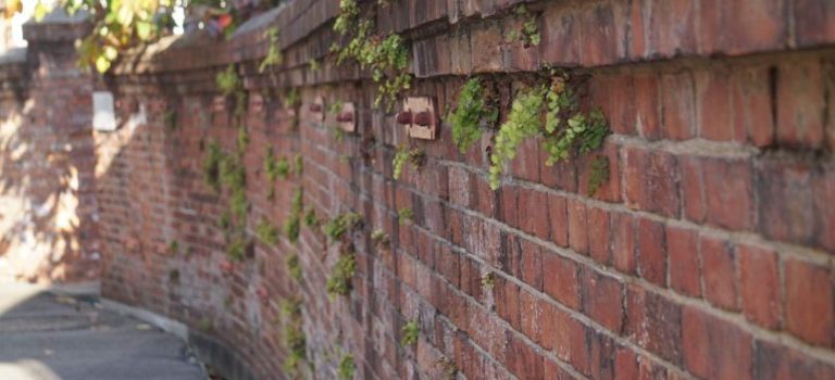 車庫シャッターが守る暮らしトラブル発生時の修理選びとメンテナンスの極意 車庫シャッターが守る暮らしトラブル発生時の修理選びとメンテナンスの極意