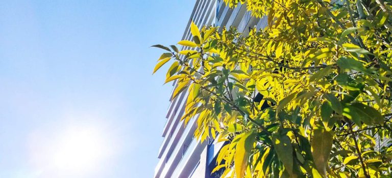 車庫シャッターで守る安全と快適生活長持ちの秘訣と修理メンテナンスの重要性 車庫シャッターで守る安全と快適生活長持ちの秘訣と修理メンテナンスの重要性