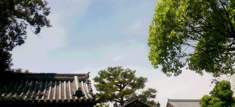 電動シャッターの安全と快適を守るための賢い修理知識と業者選びの極意